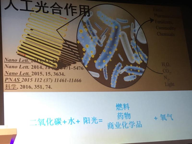 https://images.shobserver.com/news/news/2019/4/14/a7bcc3c2-d22e-4ca4-899d-21749e53bd0e.jpg