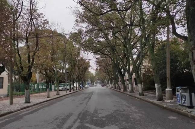 说明: 图片