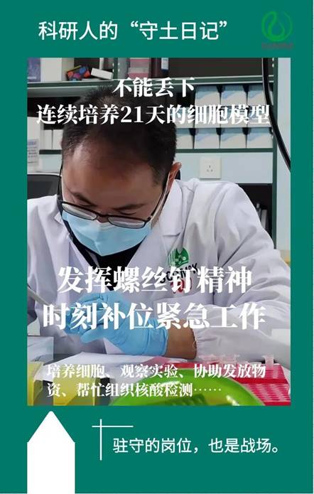 说明: 图片