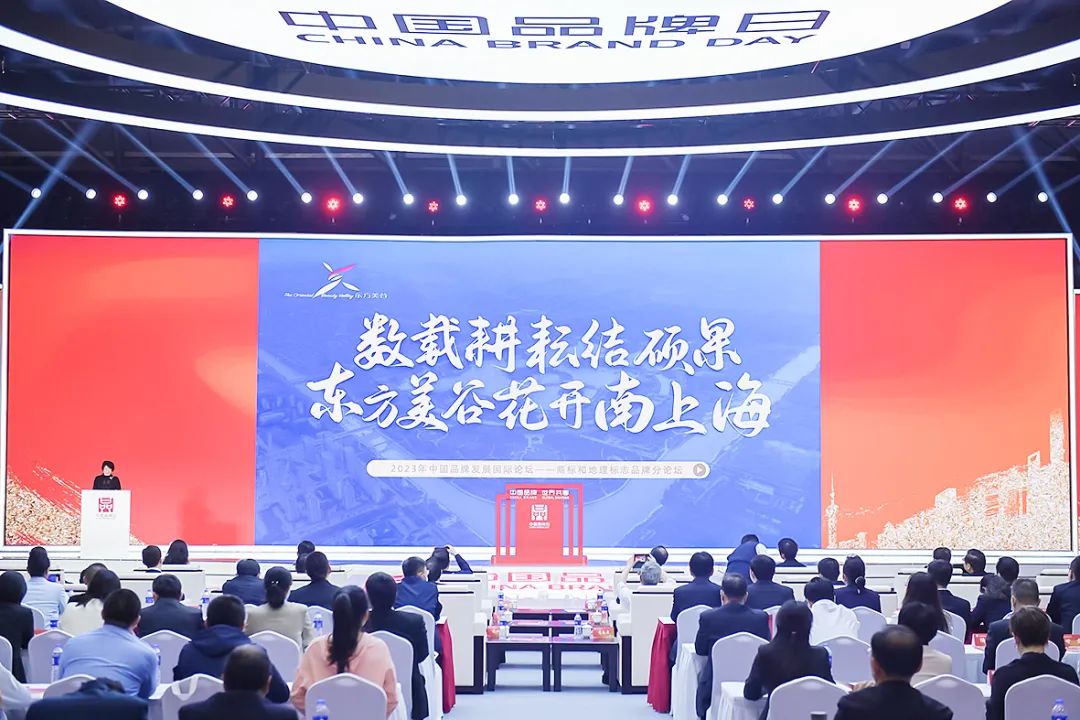 会场.jpg