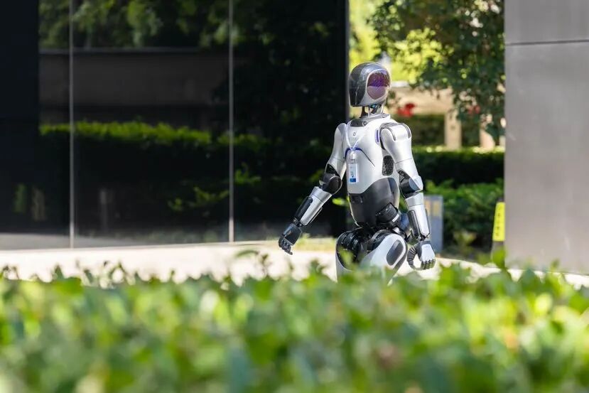 73_2025-08-17 10:58:51 +0000.png