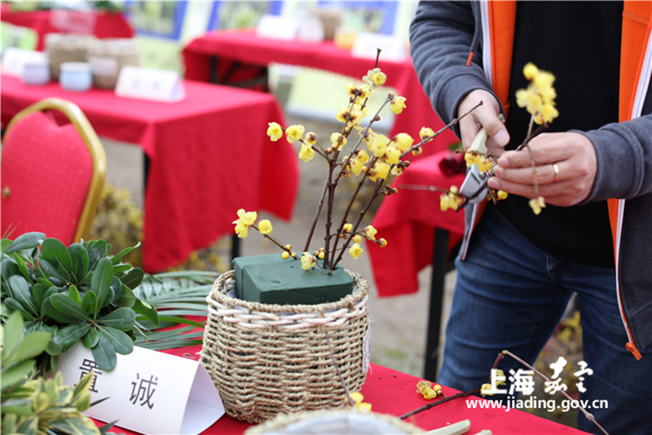 http://jiadingbao.jiading.gov.cn/Upload/jiadingbao/ContentManage/Article/image/e4b2a40ee7764ec3be25557aa44cc4a9.jpg